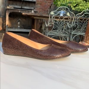 FS/NY ‘Zeppa’ Chocolate Snake Print Flats